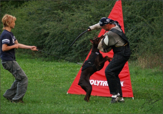 Summer training camp - Jelenec - 2007